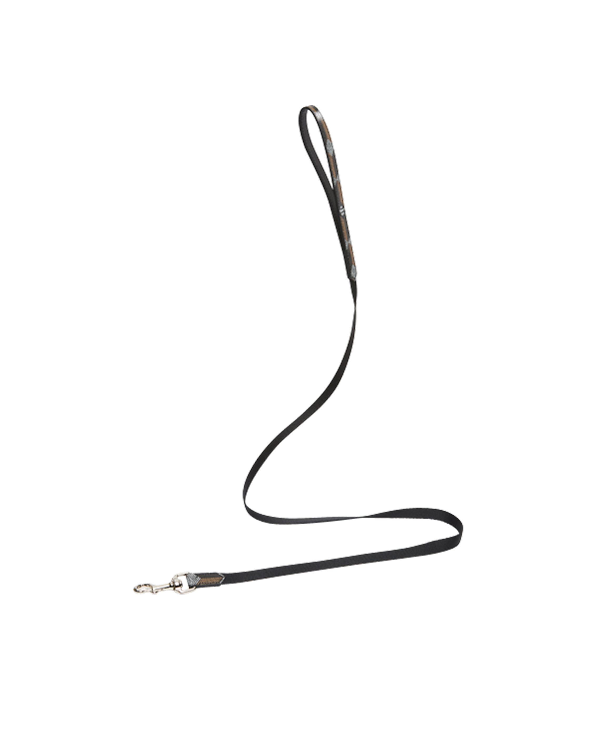 Pet Leash (S)